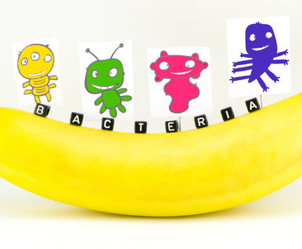 Bacteria In The Concept Of A Banana