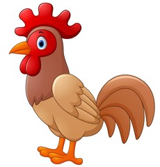 Rooster cartoon 