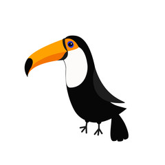 Toucan Toco Big yellow beak. Beautiful Exotic tropical bird. Zoo baby animal collection. Cute cartoon character. Decoration element. Flat design. White background. Isolated