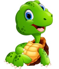 Cute turtle cartoon sitting