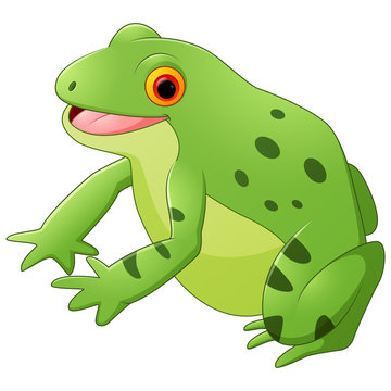 Happy Cartoon  frog