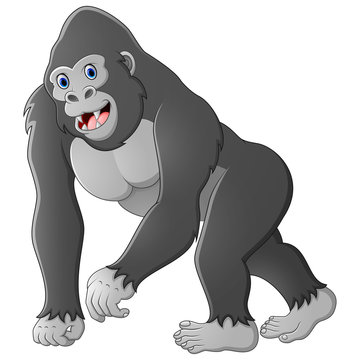 Cartoon Gorilla 