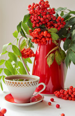 autumn still life with rowan in red vintage vase and a cup of te