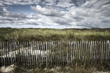 Fototapeta na wymiar Landscape with fence on North sea area, insel Norderney, Germany