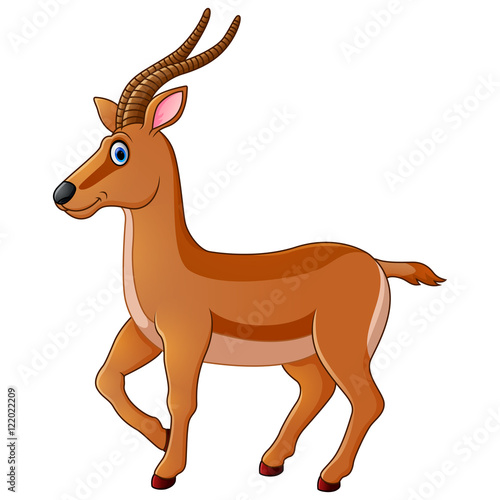 Cartoon Antelope quotCartoon antelopequot Stock image and royaltyfree vector