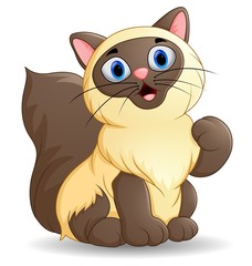Cute cat cartoon