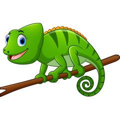 Cartoon chameleon on branch
