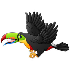 Cute cartoon toucan bird flying