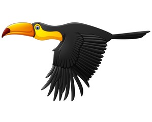 Obraz premium Cute cartoon toucan bird flying