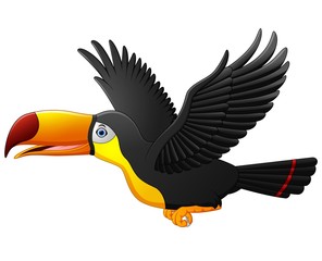 Cute cartoon toucan bird flying