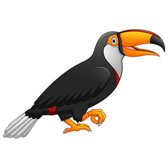 Cute cartoon toucan 
