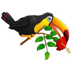 Funny toucan bird cartoon on branch