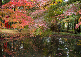 世界遺産　平泉　中尊寺の紅葉
