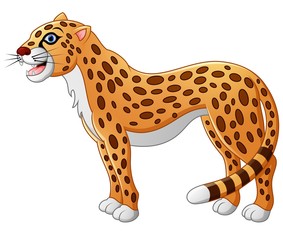 Cute cheetah cartoon
