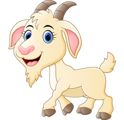Cute goat cartoon