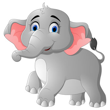 Cute elephant cartoon 
