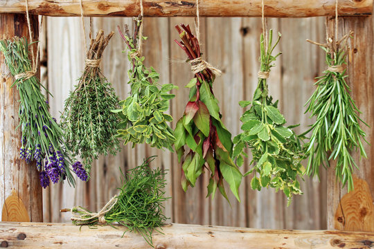 kr&auml;uter h&auml;ngend