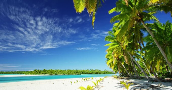 Beautiful tropical island paradise with palm trees in the south paciifc