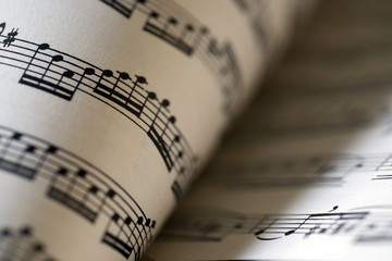 macro photo of a music sheet 