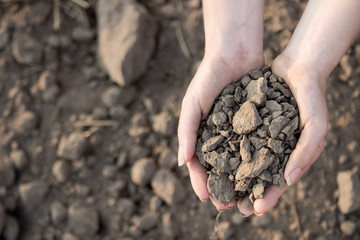 Wasted soil that can be improved-drought concept