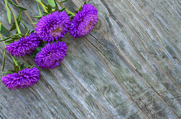 Asters flowers on the old wooden table