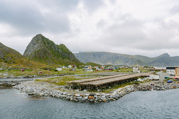 Drying fish on Lofoten islands