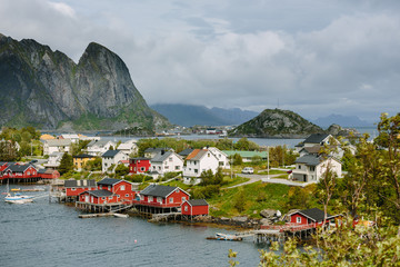 Reine