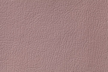 Light brown leather texture background with pattern, closeup