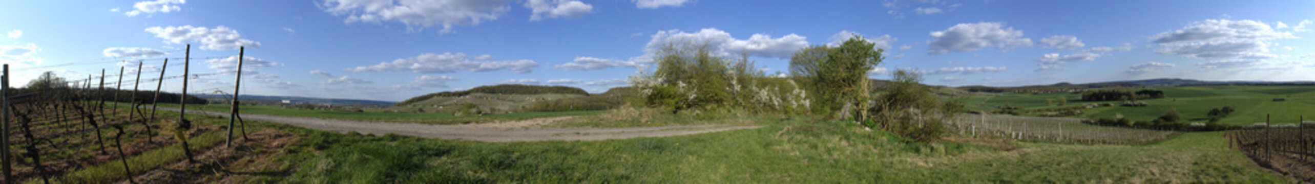 Weinberge am Zabelstein