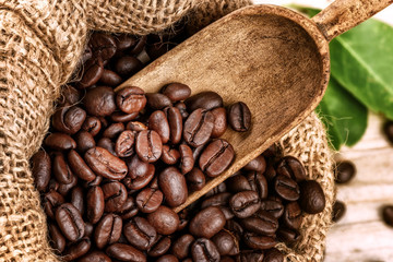 Roasted coffee beans in burlap sack with old wooden scoop - 122026884