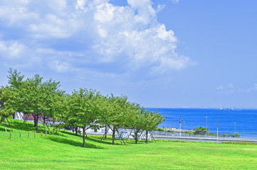 Fototapeta premium 太陽と青空と雲