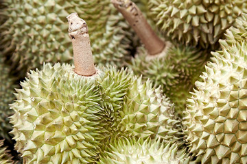 durian