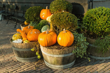 Pumpkins and fall harvest decorative vegetables in a wicker basket for Thanksgiving decoration