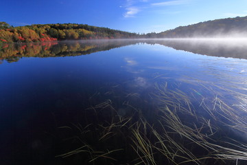 水草が漂う湖