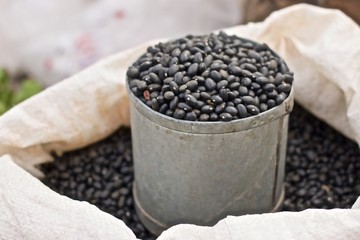 Black bean