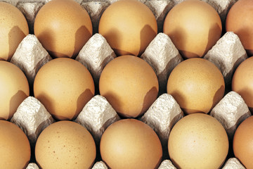 Above View Packaged Chicked Egg Rows Textures and  Patterns