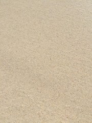 Fototapeta na wymiar ビーチの砂 Beach sand