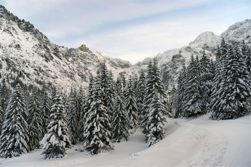 Winter landscape . The High Tatras.