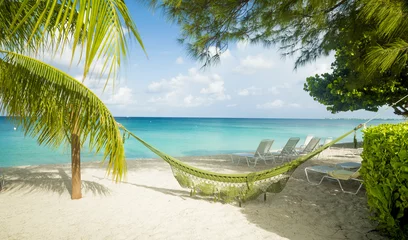 Photo sur Plexiglas Plage de Seven Mile, Grand Cayman Hamac sur Seven Mile Beach à Grand Cayman, Îles Caïmans