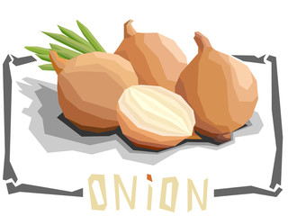 Vector simple illustration of onion.
