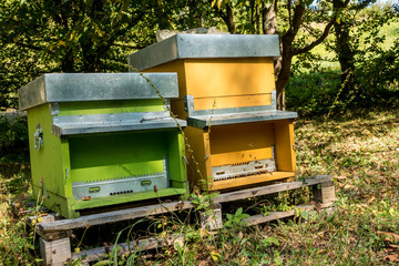 Bienenkasten