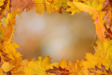 Naklejka na ściany i meble autumn background with frame
