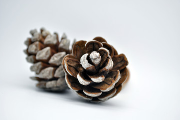 Две шишки на белом фоне