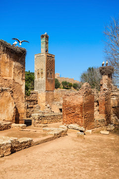 Chellah in Rabat