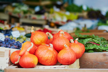 Ripe orange pumpkins on farmer agricultural market