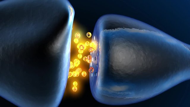 Neurotransmission in the Synapse. 3D rendered animation. 
