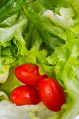 Lettuce with cherry tomatoes in white saucer on a wooden table