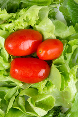 Lettuce with cherry tomatoes in white saucer on a wooden table