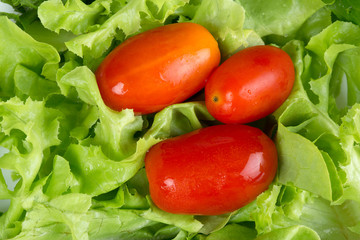 Lettuce with cherry tomatoes in white saucer on a wooden table