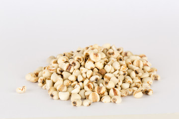 Coixseed, also known as Job's tears on white bacground